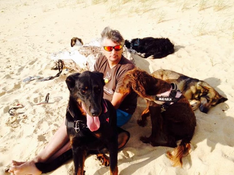 Chien sur la plage — séance d'éducation en environnement riche en stimuli