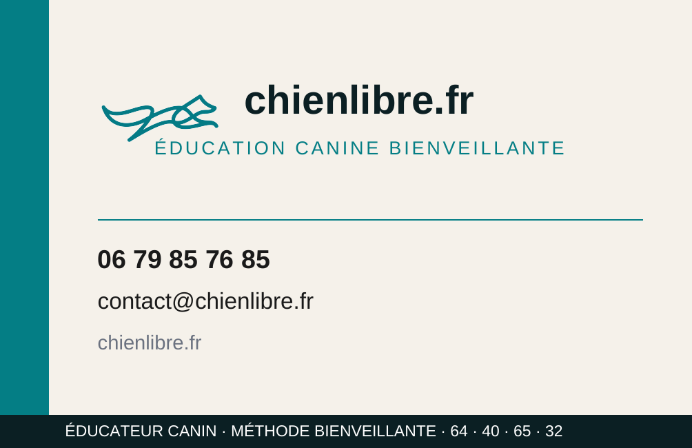 Carte de visite chienlibre.fr — recto