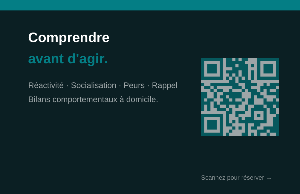Carte de visite chienlibre.fr — verso